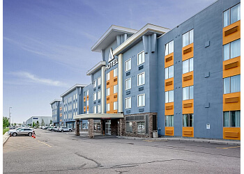 Calgary
Hôtels
Acclaim Hotel by Clique Calgary Airport image 1
