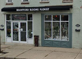 Brantford
Fleuristes
Brantford Blooms Florist image 1