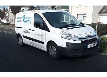Pickering window cleaner CTHRU image 1