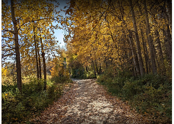 Calgary
Sentiers De Randonnée
Edworthy Park image 1