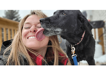 Belleville dog walker Furball's Choice image 1