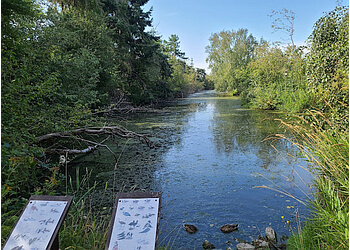 Delta places to see George C. Reifel Migratory Bird Sanctuary
