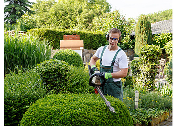 St Albert lawn care service JP Property Maintenance