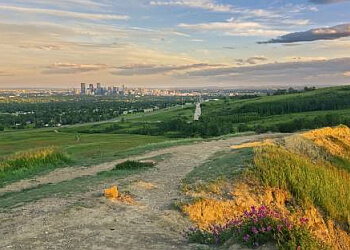 Calgary
Sentiers De Randonnée
Nose Hill Park image 1