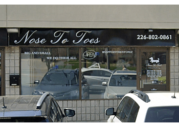 Brantford
Salons de Toilettage Pour Animaux De Compagnie
Nose To Toes image 1