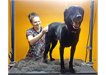 North Bay
Salons de Toilettage Pour Animaux De Compagnie
Pawcasso Pet Salon image 1