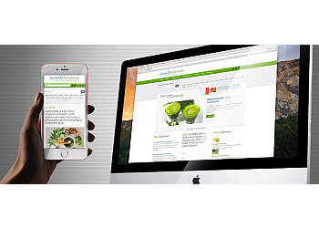 Delta web designer Poissy Design Inc. image 1