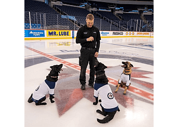 Winnipeg
Dresseurs De Chiens
Pro K9 Winnipeg image 1