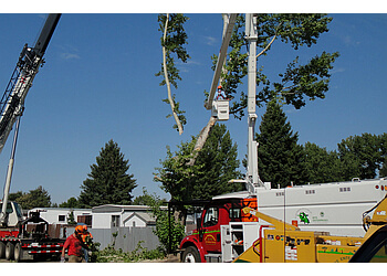 Medicine Hat tree service Rite Enterprises