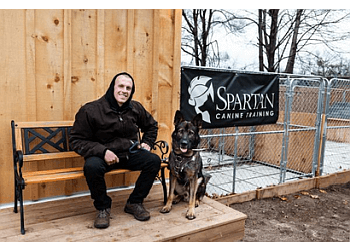Brantford dog trainer Spartan Canine Training image 1