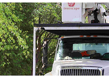 Peterborough
Services d'arboriculteur
Treescape Certified Arborists image 1
