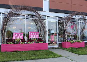 Sherbrooke
Fleuristes
à chacun sa fleur image 1